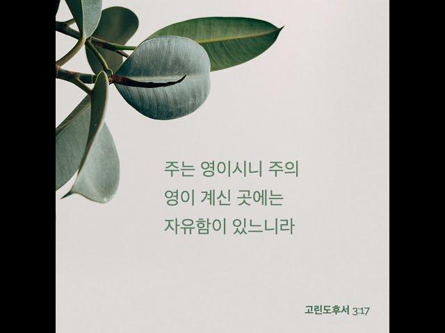 마음이 상한 자를(He Binds The Broken Hearted)
