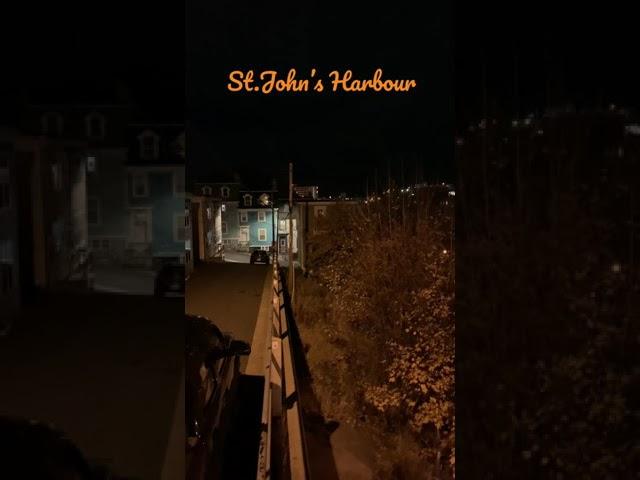 St.John’s Harbour October 27th 2021 #shorts #canada #newfoundland #youtubeshorts #youtube #harbour