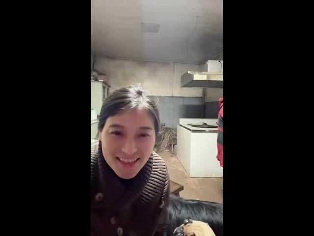阿偉燕子旅行記
