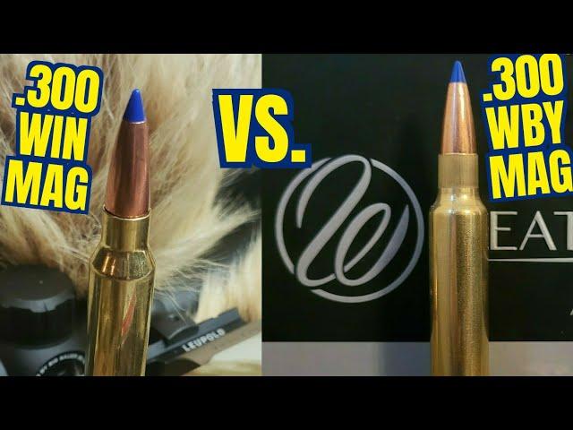 .300 Winchester Magnum vs .300 Weatherby magnum Barnes 175gr LRX. With Reloading Weatherby