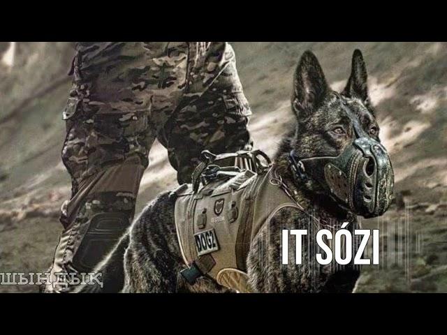 Менттерге арналады (Ринат Заитов - Ит сөзі)
