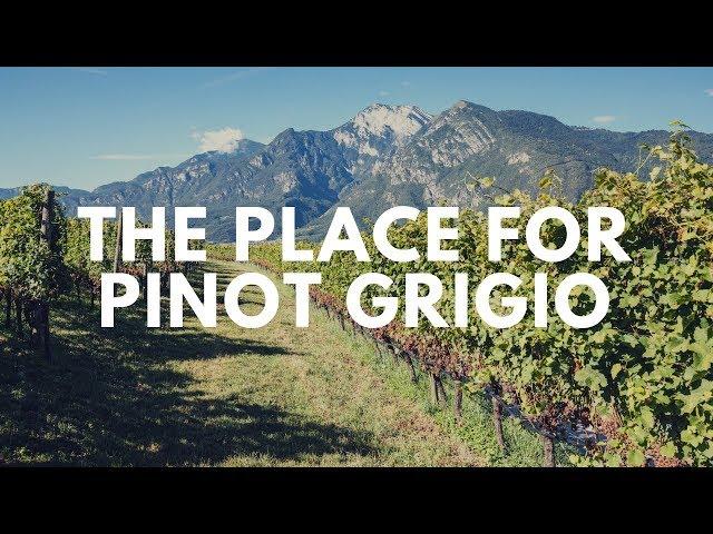 Learn About Pinot Grigio From One Of Italy's Top Producers - Wine Oh TV