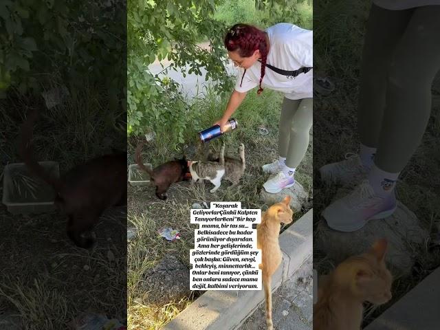 BENİ KALPEN TANIYANLARI GÖRDÜNÜZ MÜ ?