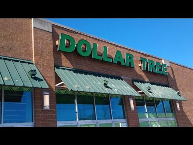 BACK AT IT! CRAZY GOOD FINDS! COME WITH ME TO DOLLAR TREE!