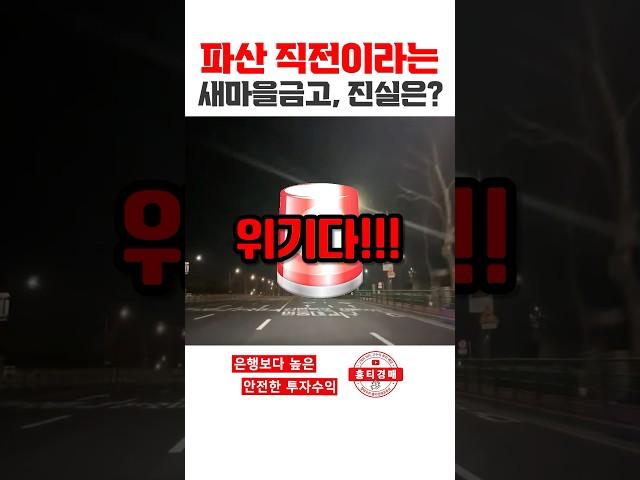 s368.파산직전 새마을 금고?? #npl #홍티라운지 #신탁npl #신탁공매 #신탁대출 #홍티경매