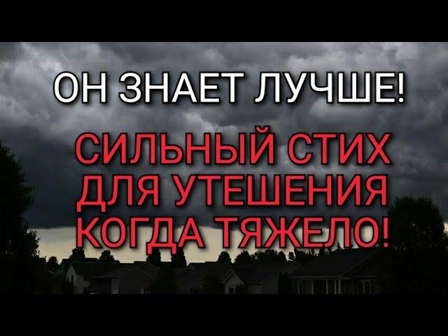 Последний солнца луч! Он знает лучше! Стих для утешения!