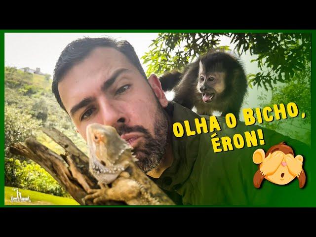 Macacos são sempre muito curiosos | Veja quais animais o Éron teve medo e quais ele gostou.