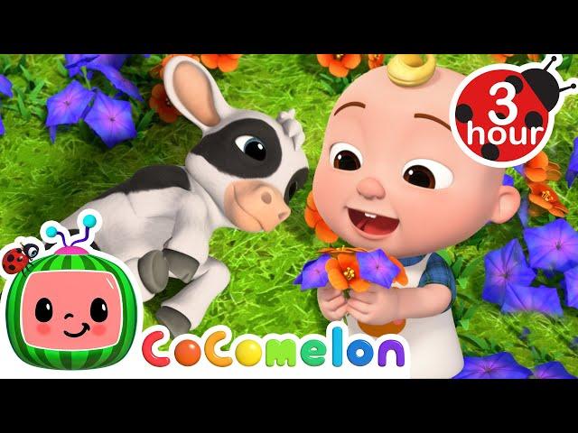 JJ Plays With His Baby Farm Animals  CoComelon Nursery Rhymes & Kids Songs | 3 HOURS | After School