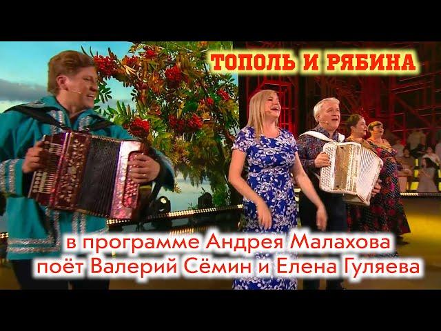 ХИТ "Тополь и рябина" в программе "Привет, Андрей!" поют Валерий Сёмин и Елена Гуляева. ОГОНЬ!!!"️