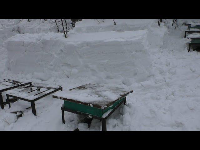 Скоро выставлять пчел, а здесь ...
