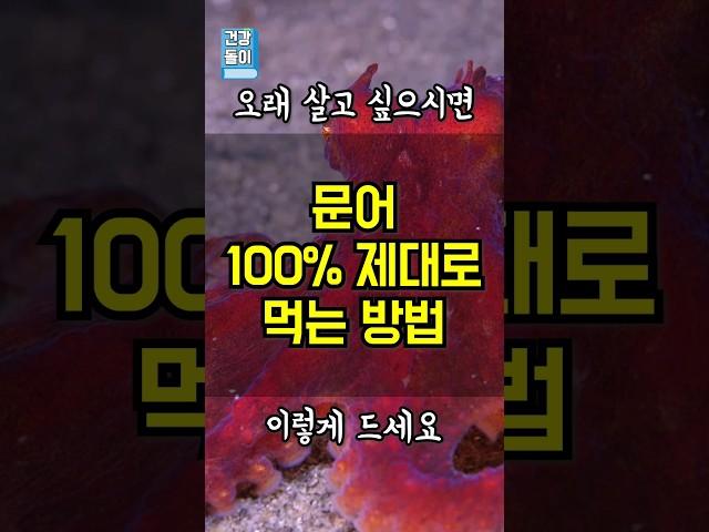 오래 살고 싶으면 문어 '이렇게' 드세요! #건강정보 #건강