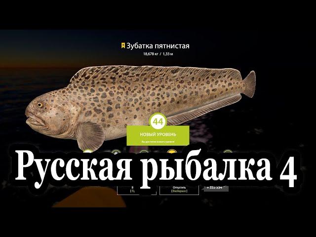 Русская рыбалка 4 Трофейная рыбалка на норвежском море ФАРМ