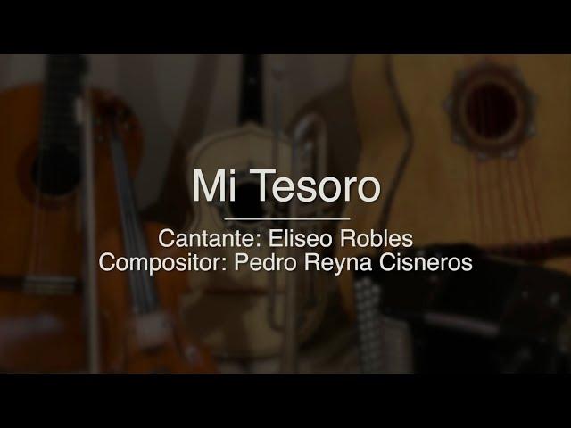 Mi Tesoro - Puro Mariachi Karaoke - Eliseo Robles