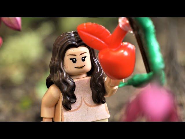 Bible Bricks | Adam and Eve (Genesis 1 - 3)