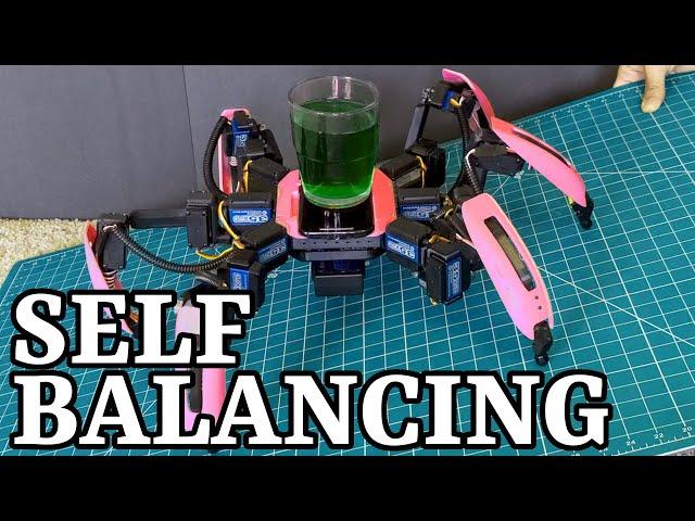 Self-Balancing Hexapod Robot. Android-based DIY Spider Robot.