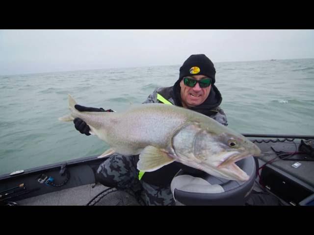 Niagara Bar Lake Trout - Dave Mercer's Facts of Fishing THE SHOW