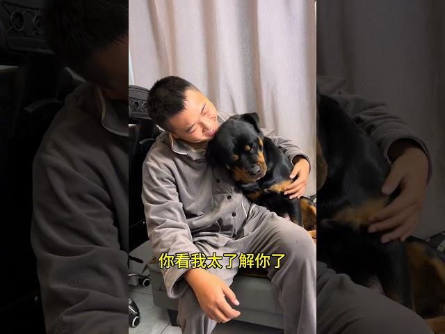 你们看她多会啊…… #拉登与阿亮的日常生活