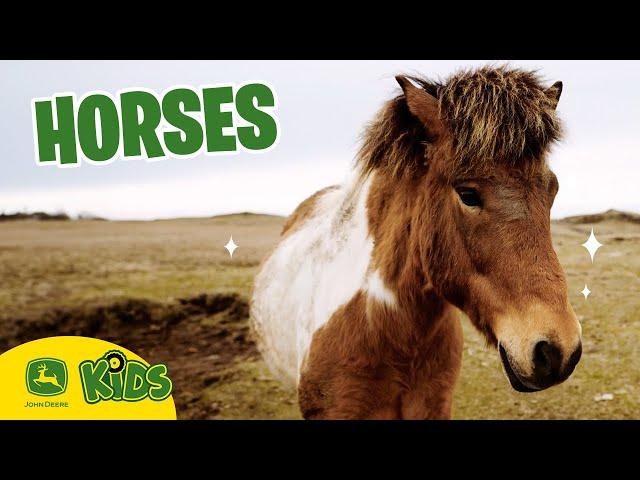 We Love Horses On The Farm!  | John Deere Kids