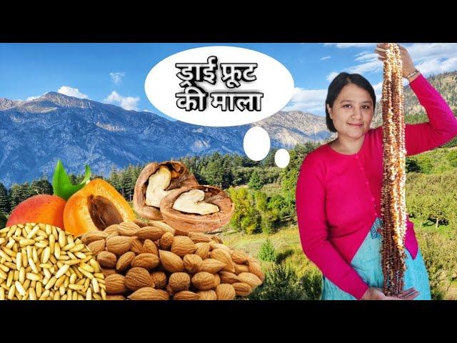 || Dry Fruit Garland Making|| Kinnaur HP || Day Routine||