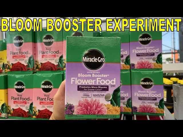 Does BLOOM BOOSTER Work? Surprising Fertilizer Results!