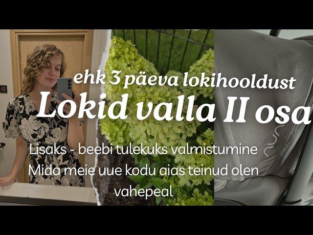 LOKID VALLA II OSA/ Kuidas ma lokke värskendan? / Nesting /Uue kodu aia UPDATE