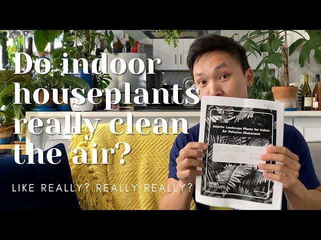 Do Indoor Houseplants Really Clean the Air? | Air Pollution | Myth Busted | Ep 129