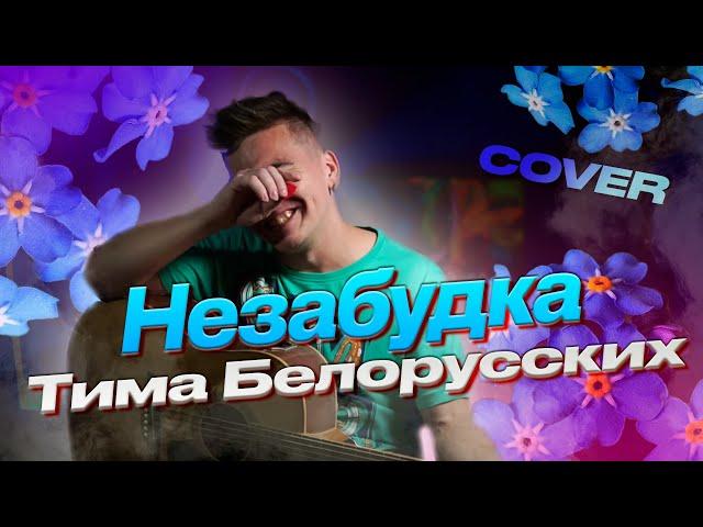 Тима Белорусских -  Незабудка под гитару