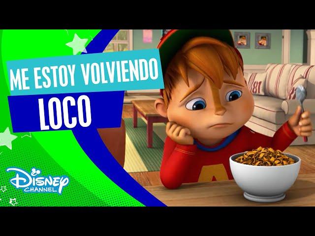 ¡¡¡Alvinnn!!! Y Las Ardillas: Videoclip - Me estoy volviendo loco | Disney Channel Oficial