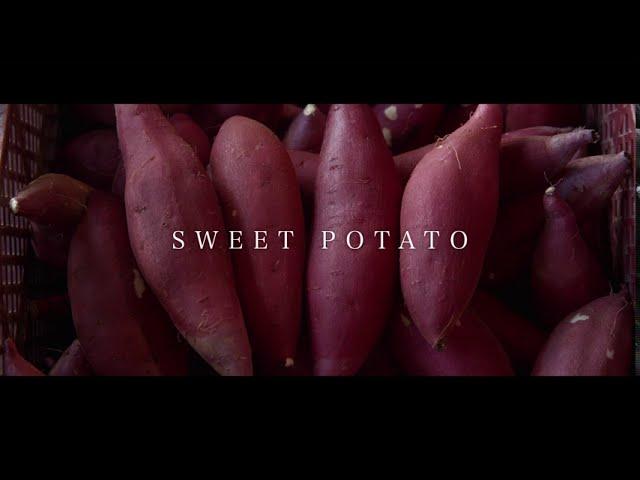 【Japapo】EN Japan potato Ltd. - introduction movie -