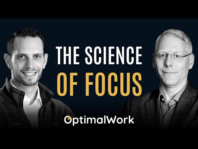 OptimalWork and the Brain: The Default Mode Network