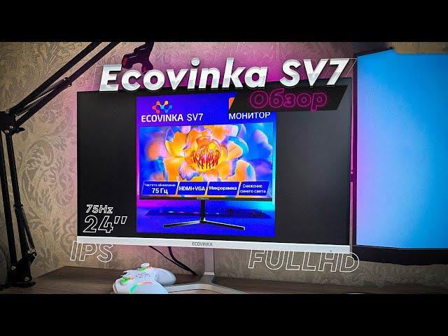 ECOVINKA SV7. Обзор. Бюджетный монитор на 24 дюйма с большими возможностями!