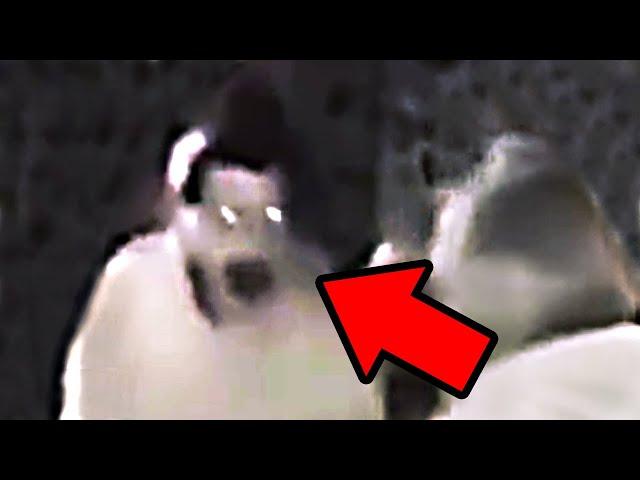 Top 10 SCARY Ghost Videos To CRY Yourself To SLEEP