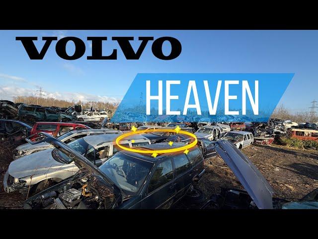 MEGA VOLVO GRAVEYARD! Hundreds Of Old Classic Volvos Left To Rot!