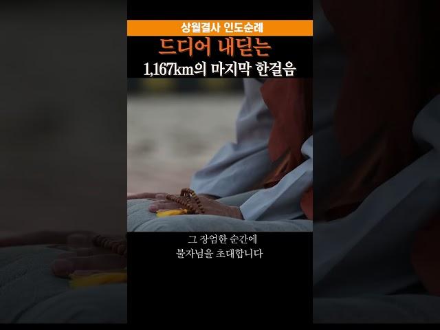 드디어 내딛는 1,167km의 마지막 한걸음 #인도순례