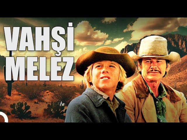 Vahşi Melez | Charles Bronson Türkçe Dublaj Kovboy Filmi Full İzle