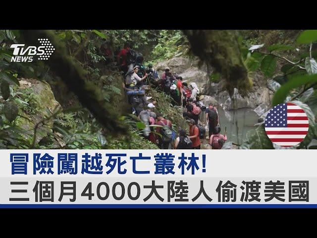 冒險闖越死亡叢林! 三個月4000大陸人偷渡美國｜TVBS新聞