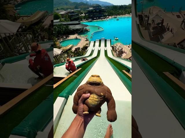 Water Park Tested: Squishy Monkey vs. Giant Slides