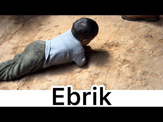 Este video te partirá el corazón | Ebrik