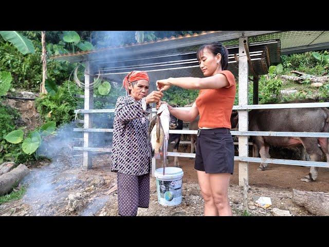 Harvested a nest of natural stream fish and brought it home to give to my mother / Bàn Thị Diết