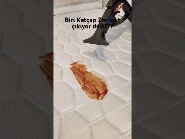 HYLA ile Lekelere Son. Daha fazla bilgi için bize Ulaşım