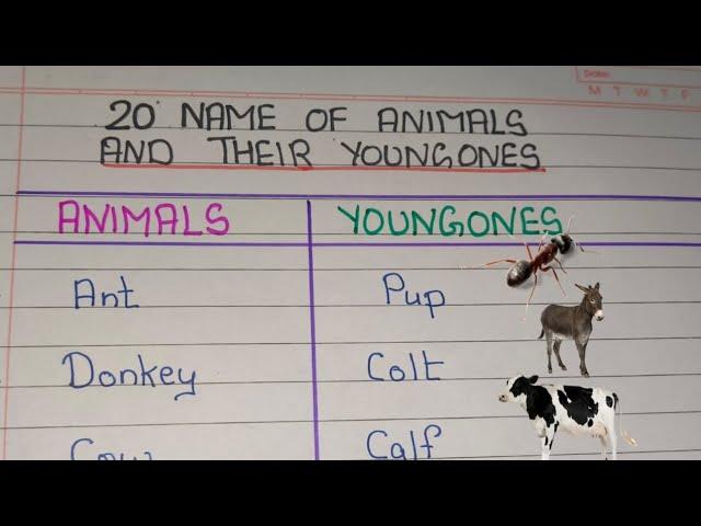 Name of Animals and their Young Ones | Animals and their Babies || 20 Animals Young Ones