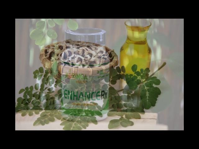 Moringa benefits here are 6 moringa benefits