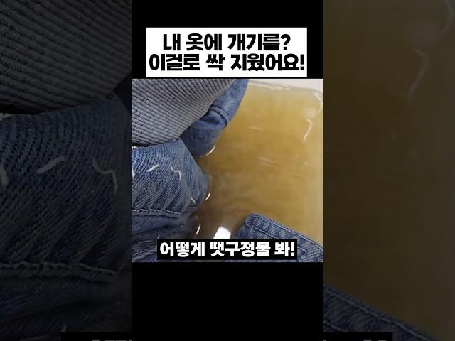 내 옷에 개기름이 이렇게나? 이걸로 싹 지웠어요!