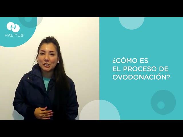 ¿Cómo es el proceso de donación?