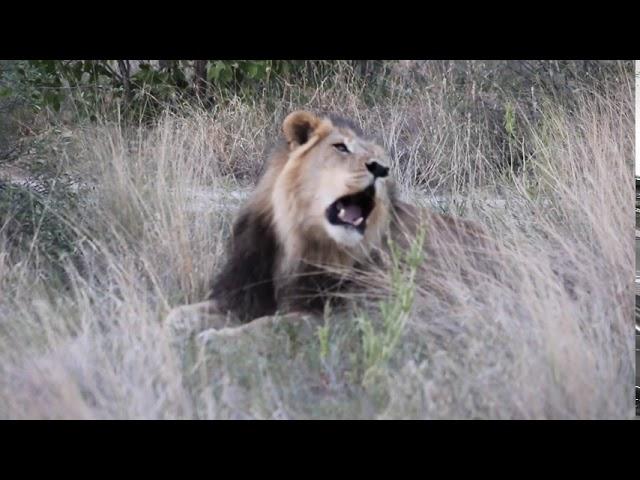 CKGR (Central Kalahari Game Reserve)