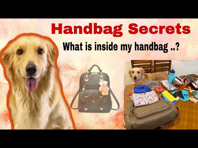 What is inside your dog handbag ? | Zara TheRetriever | Handbag secrets revealed
#goldenretriever