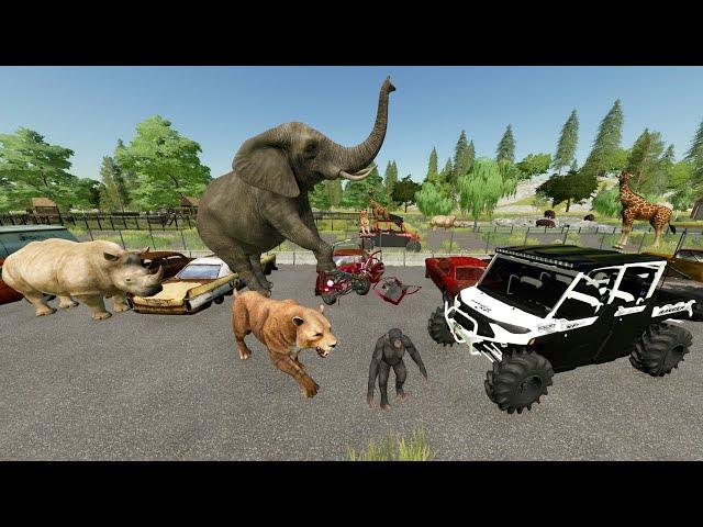 Buying Abandoned Zoo Full of Dangerous Animals | Farming Simulator 22