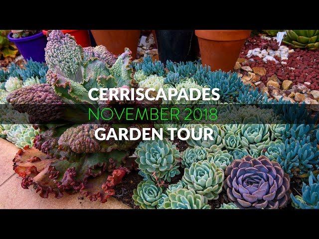 Cerriscapades - Succulent Garden Tour November 2018