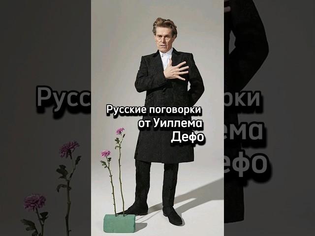 Русские поговорки от Уиллема Дефо #willemdafoe #уиллемдефо #поговорки