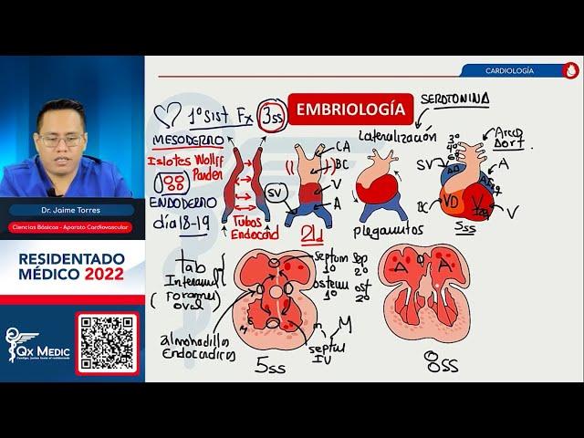 BÁSICAS I - CARDIOLOGÍA